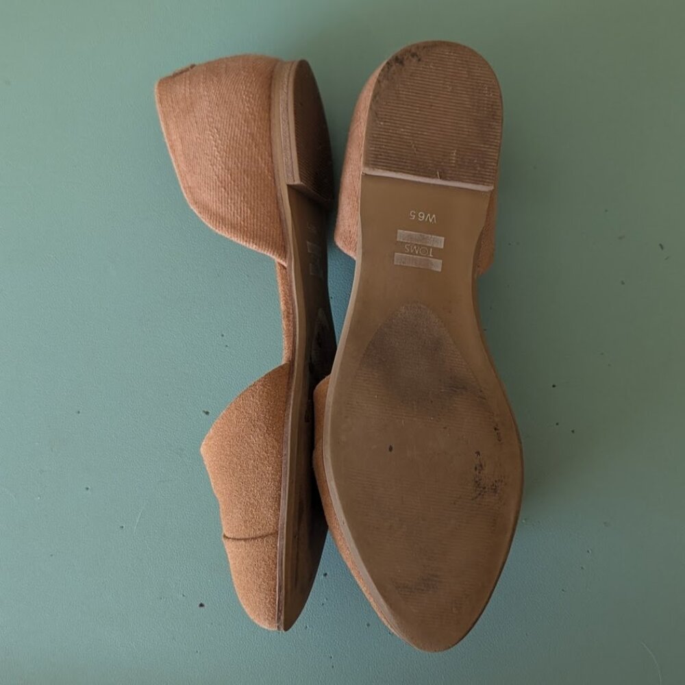 Women's 6.5 Tom's Jutti Flat in Camel